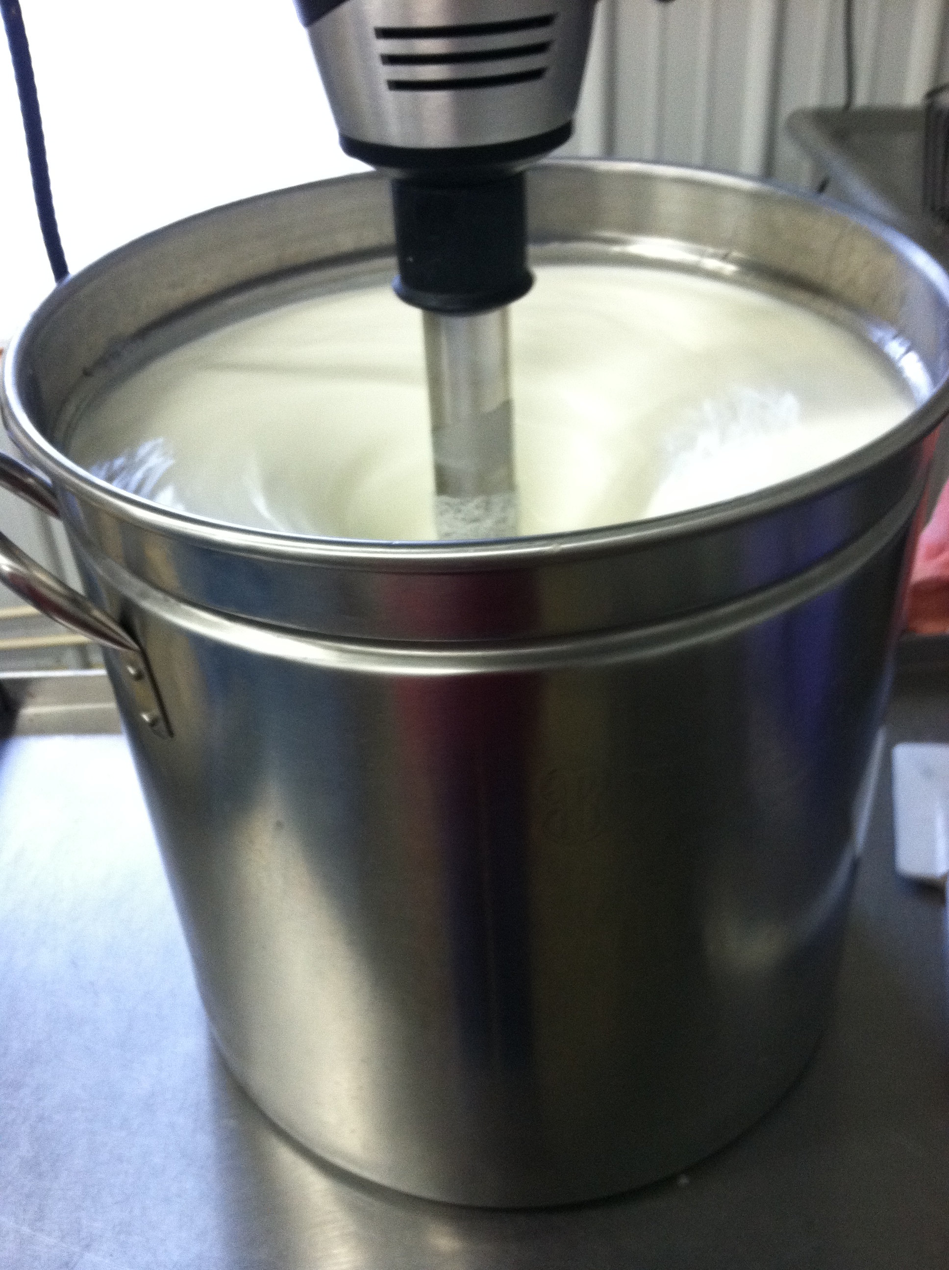 Lotion Production – The Stick Blender